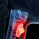 Illustration for article titled Why Thyroid Conditions Are So Bad